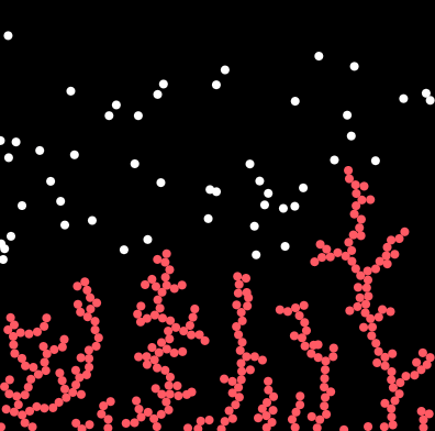 Diffusion - Limited Aggregation